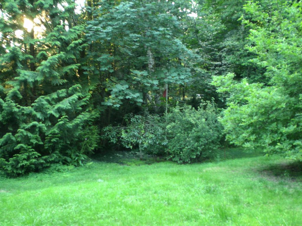 Davis Brook Retreat Bed & Breakfast ซีเชลท์ ภายนอก รูปภาพ